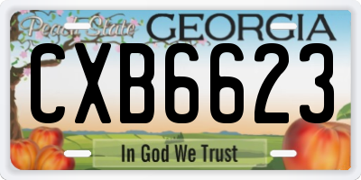GA license plate CXB6623