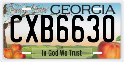 GA license plate CXB6630