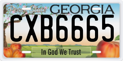 GA license plate CXB6665