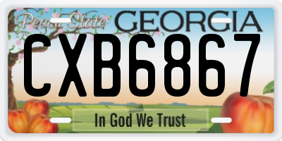 GA license plate CXB6867