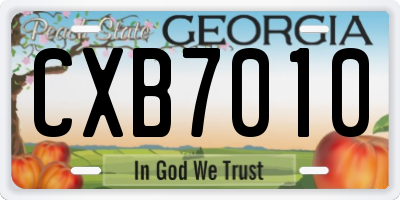 GA license plate CXB7010