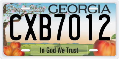 GA license plate CXB7012