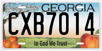 GA license plate CXB7014