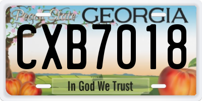 GA license plate CXB7018