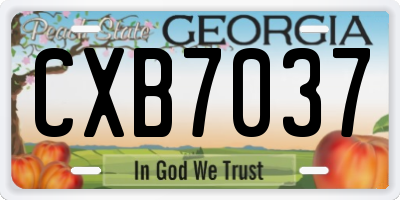 GA license plate CXB7037