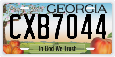 GA license plate CXB7044