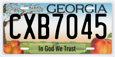 GA license plate CXB7045