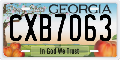 GA license plate CXB7063