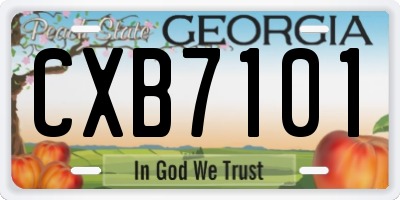 GA license plate CXB7101