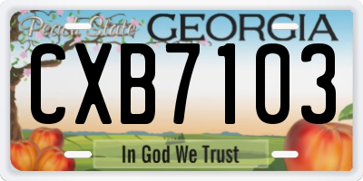 GA license plate CXB7103