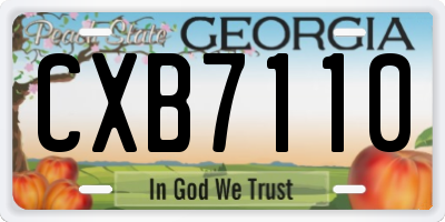 GA license plate CXB7110