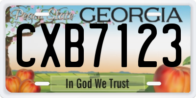 GA license plate CXB7123