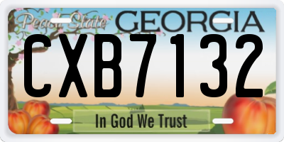 GA license plate CXB7132