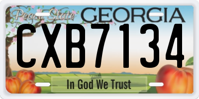 GA license plate CXB7134