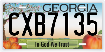 GA license plate CXB7135
