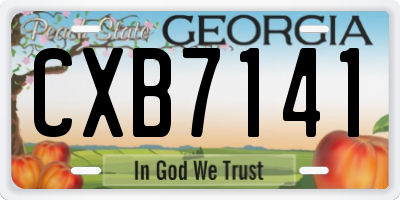 GA license plate CXB7141