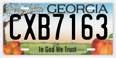 GA license plate CXB7163