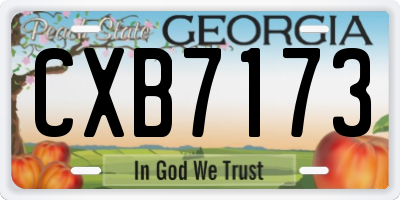GA license plate CXB7173