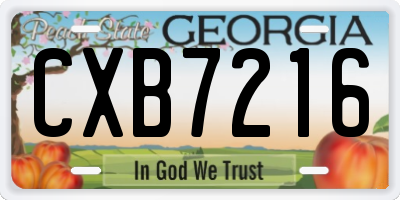 GA license plate CXB7216