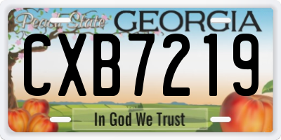 GA license plate CXB7219