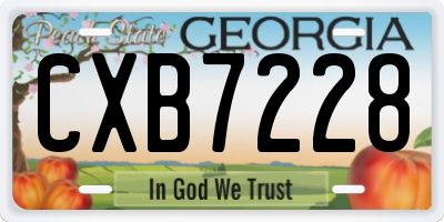 GA license plate CXB7228