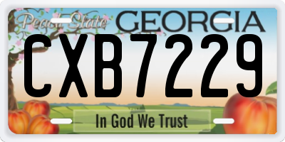GA license plate CXB7229
