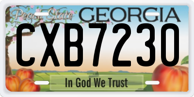 GA license plate CXB7230