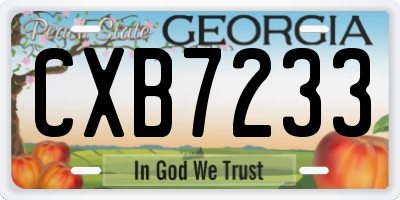 GA license plate CXB7233