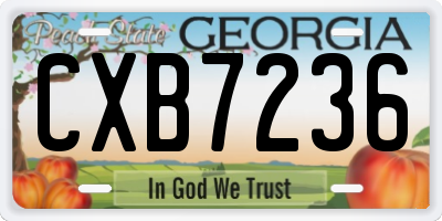 GA license plate CXB7236