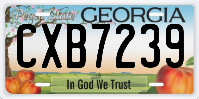 GA license plate CXB7239