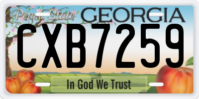 GA license plate CXB7259