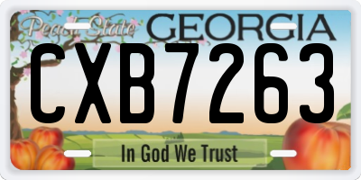 GA license plate CXB7263
