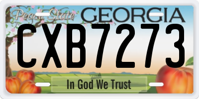 GA license plate CXB7273