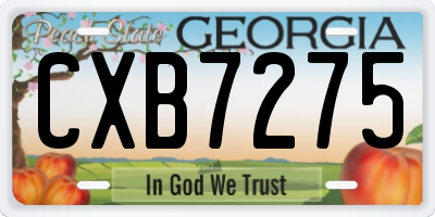 GA license plate CXB7275