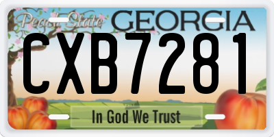 GA license plate CXB7281