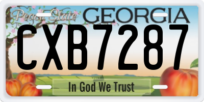 GA license plate CXB7287