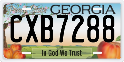 GA license plate CXB7288