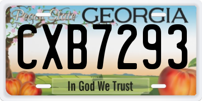 GA license plate CXB7293