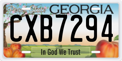 GA license plate CXB7294