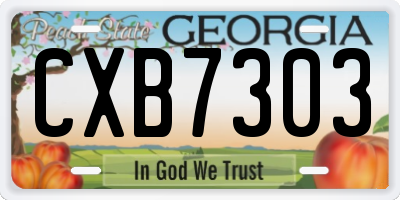 GA license plate CXB7303