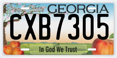 GA license plate CXB7305