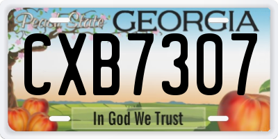 GA license plate CXB7307