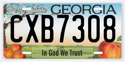 GA license plate CXB7308