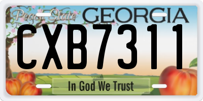 GA license plate CXB7311
