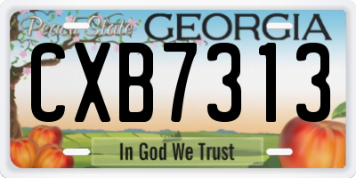 GA license plate CXB7313