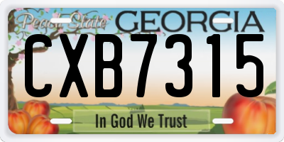 GA license plate CXB7315