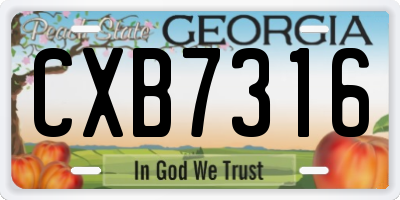GA license plate CXB7316