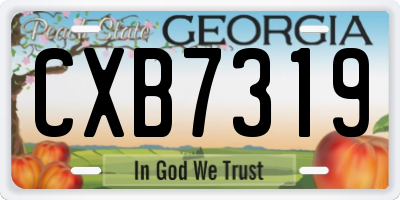 GA license plate CXB7319