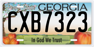 GA license plate CXB7323