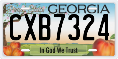 GA license plate CXB7324